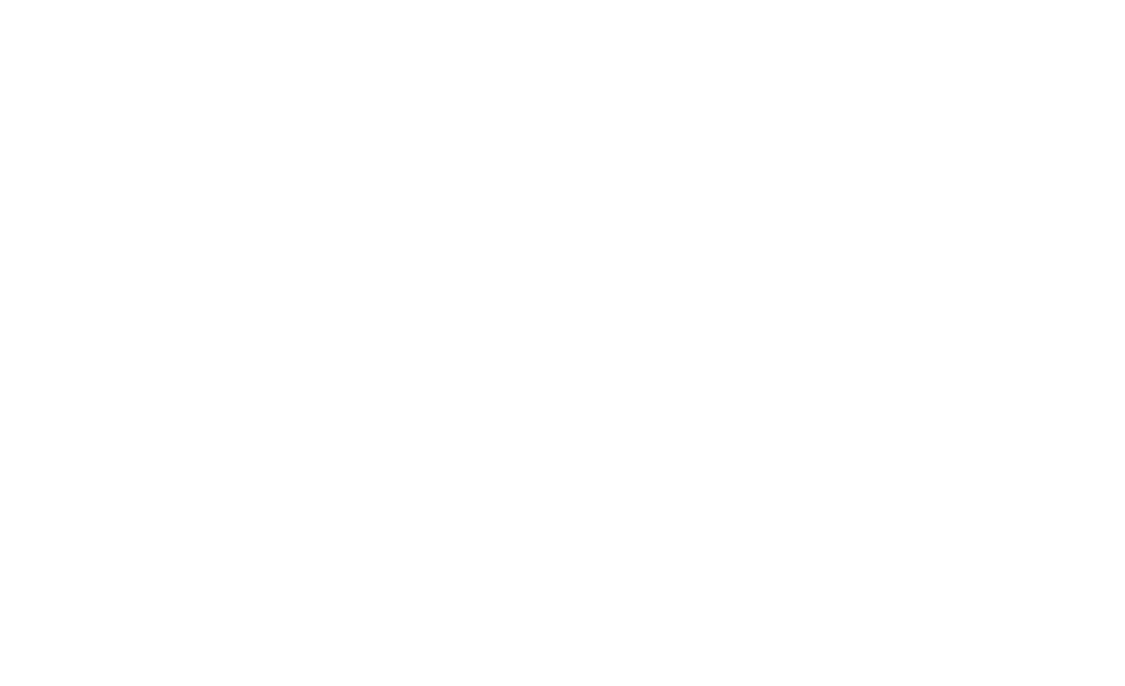 RX JAPAN